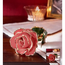 Enchanting 24K Gold Dipped Rose