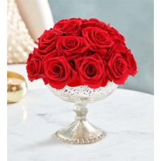 Magnificent Roses® Silver Sensation Red