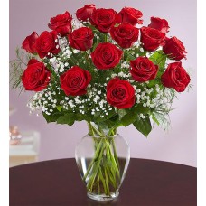 Rose Elegance™ Premium Long Stem Red Roses