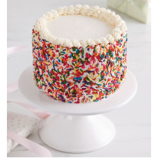 Rainbow Sprinkle Celebration Cake