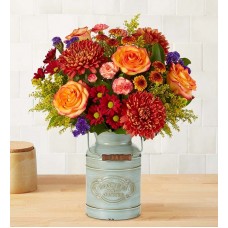 Autumn Delight™ by Southern Living®