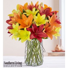 Country Splendorâ„¢ Lilies by Southern LivingÂ®