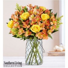 Fall Rose & Peruvian Lily by Southern LivingÂ®