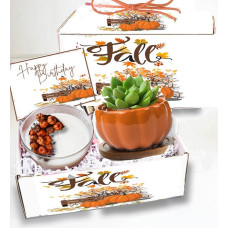 Fall Succulent & Spa Gift Box