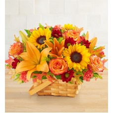 Fields of Europe® for Fall Basket